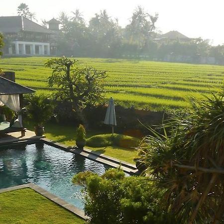 Ngeluwungan Boutique Hostel Canggu Extérieur photo