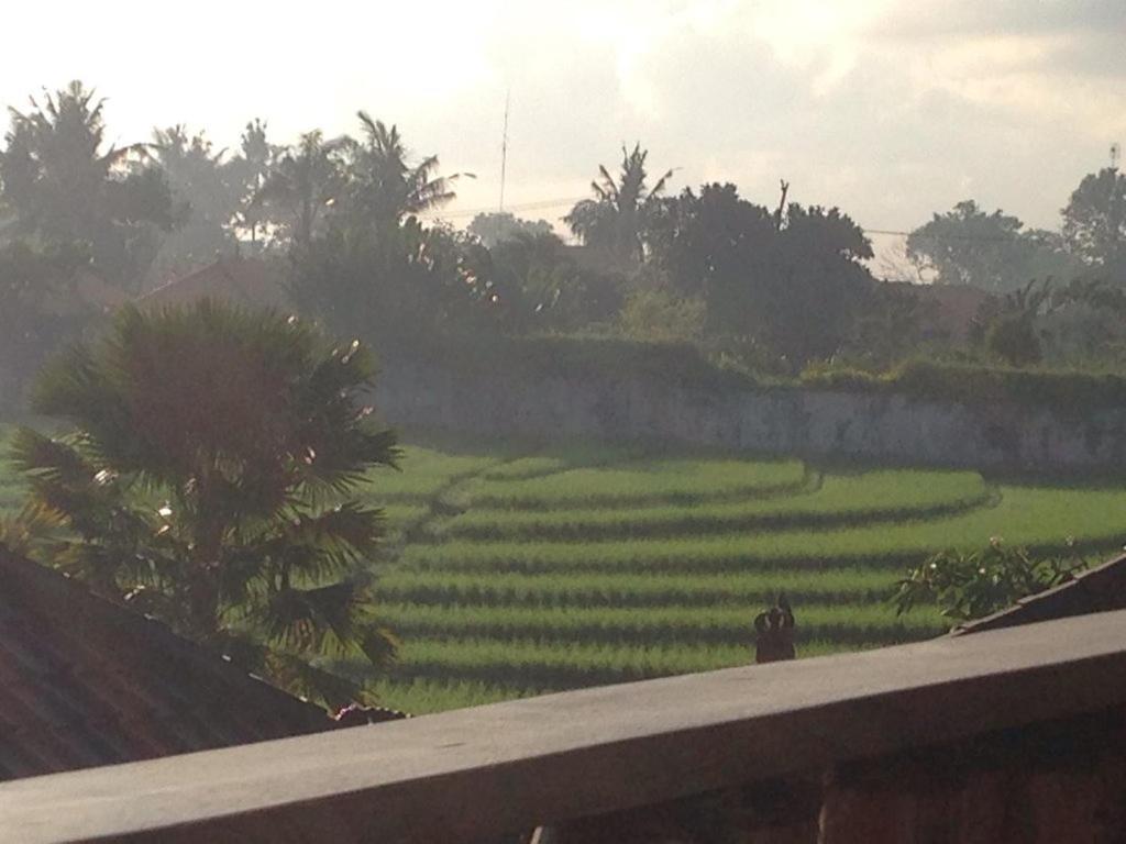 Ngeluwungan Boutique Hostel Canggu Extérieur photo